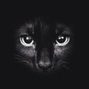 serd4r adlı kullanıcı